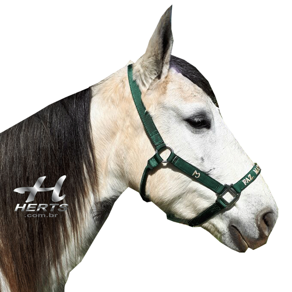 Cabresto para Cavalo Personalizado – Herts Brasil Rural